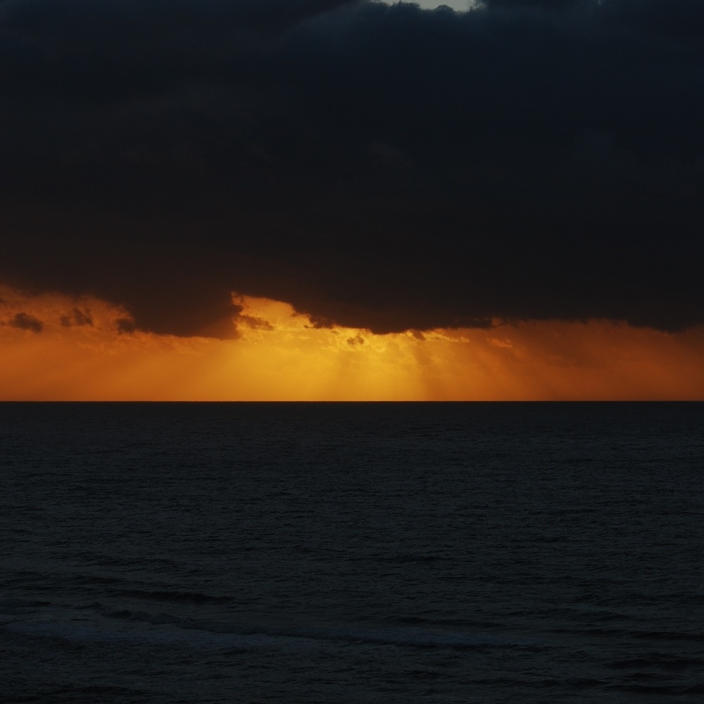 Meet your Posher, Payton